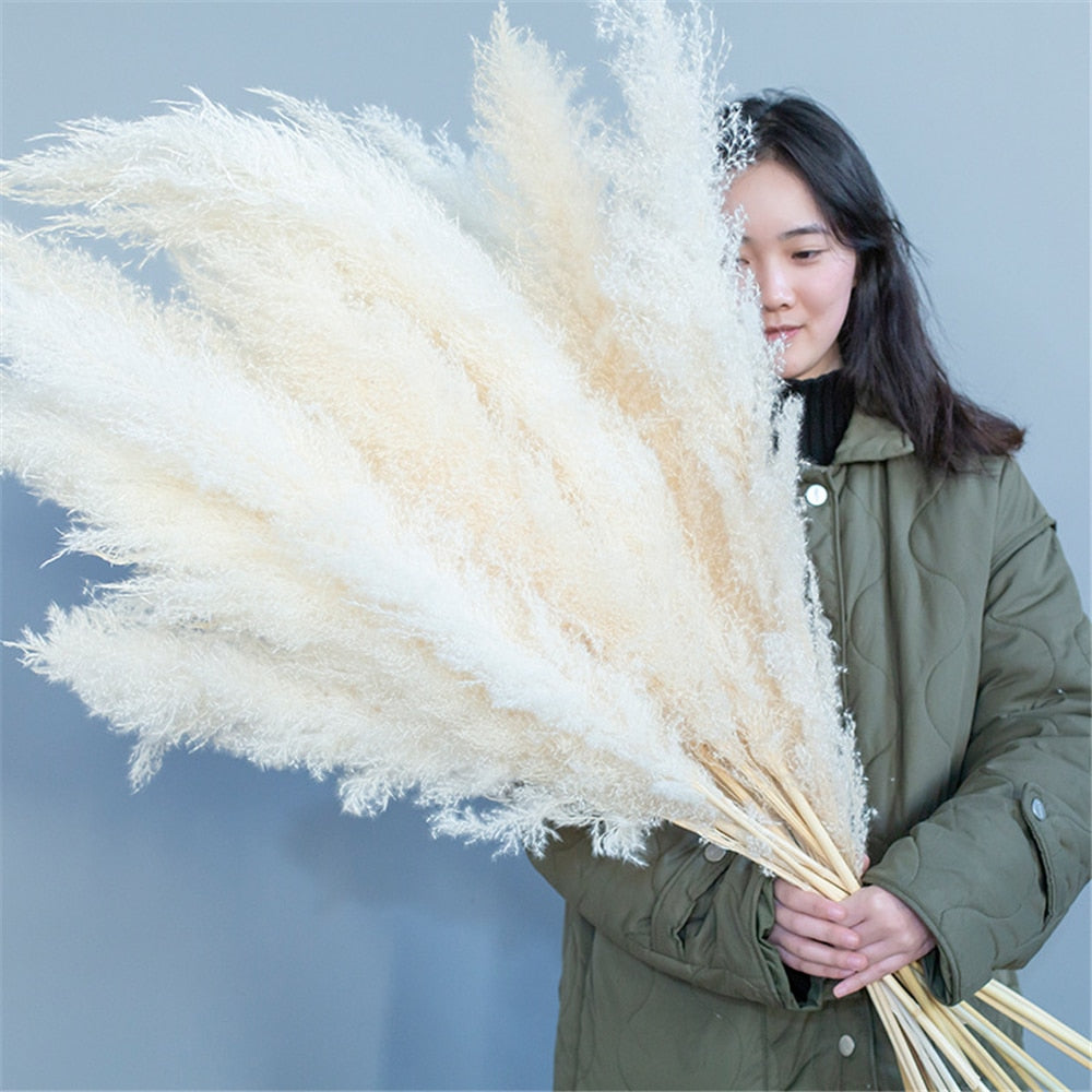 1-1.1m Large Pampas Grass Fluffy Natural Dryness Wedding Bouquet Tall Dried Flower Ceremony Modern Home Garden Decoration Reed