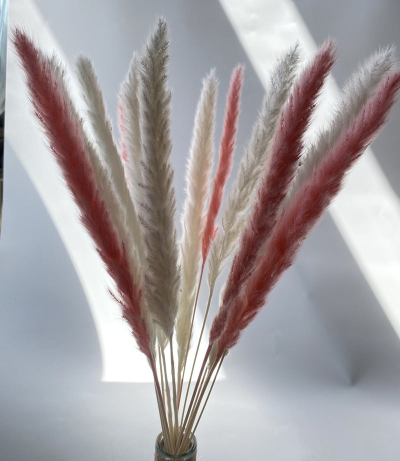 15Pcs Dried Small Pampas Grass Flowers Pantas Artificiales Para Decoracion Real Plants Home Decor Wedding Decoration