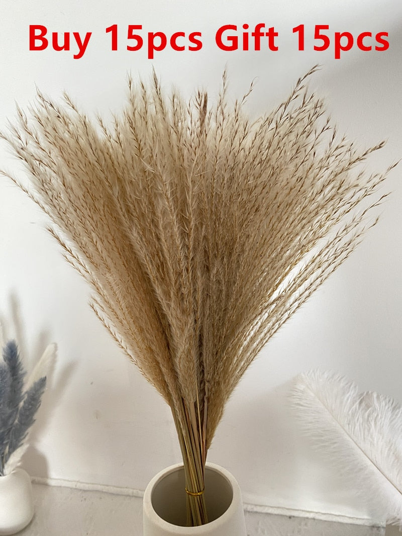 15Pcs Dried Small Pampas Grass Flowers Pantas Artificiales Para Decoracion Real Plants Home Decor Wedding Decoration