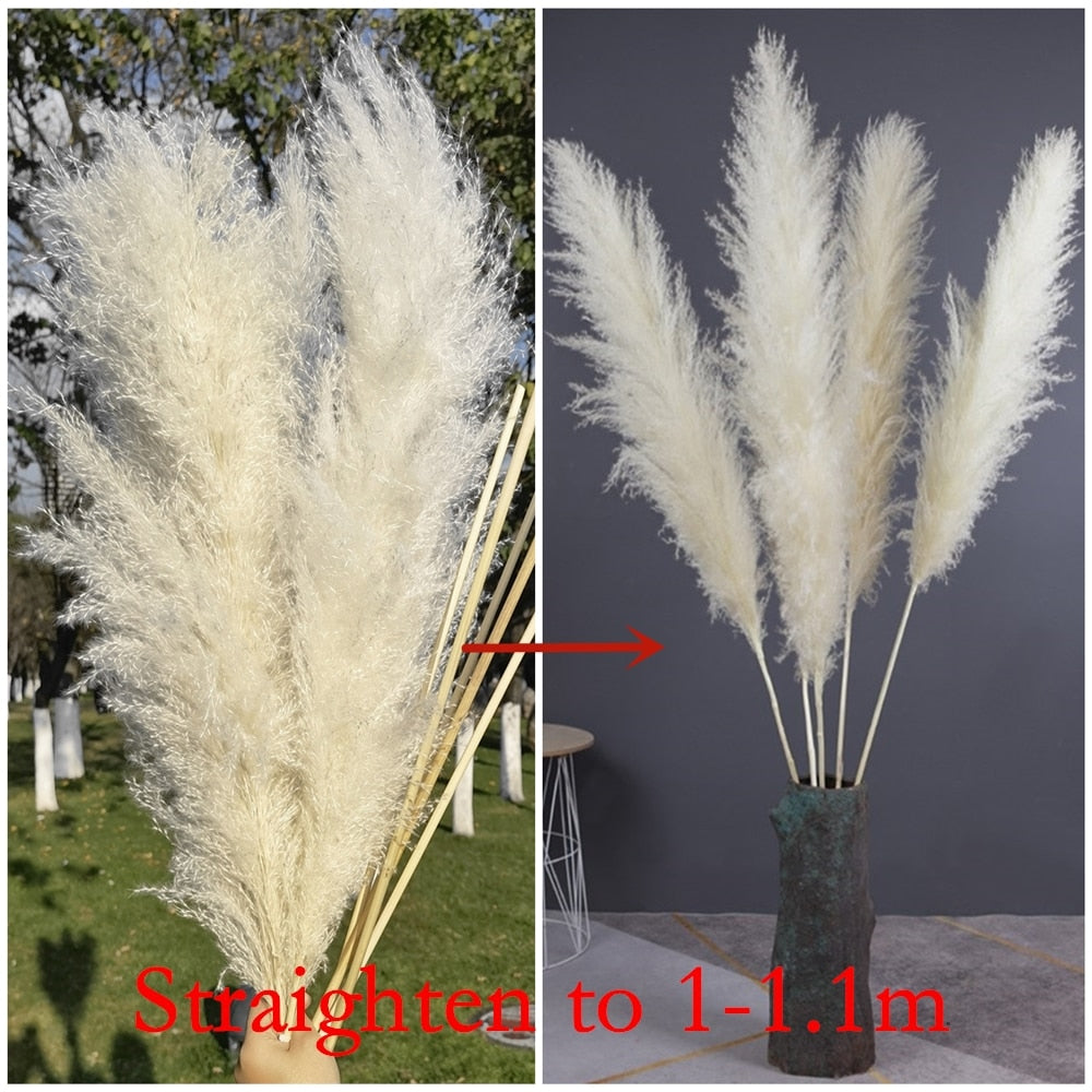 1-1.1m Large Pampas Grass Fluffy Natural Dryness Wedding Bouquet Tall Dried Flower Ceremony Modern Home Garden Decoration Reed