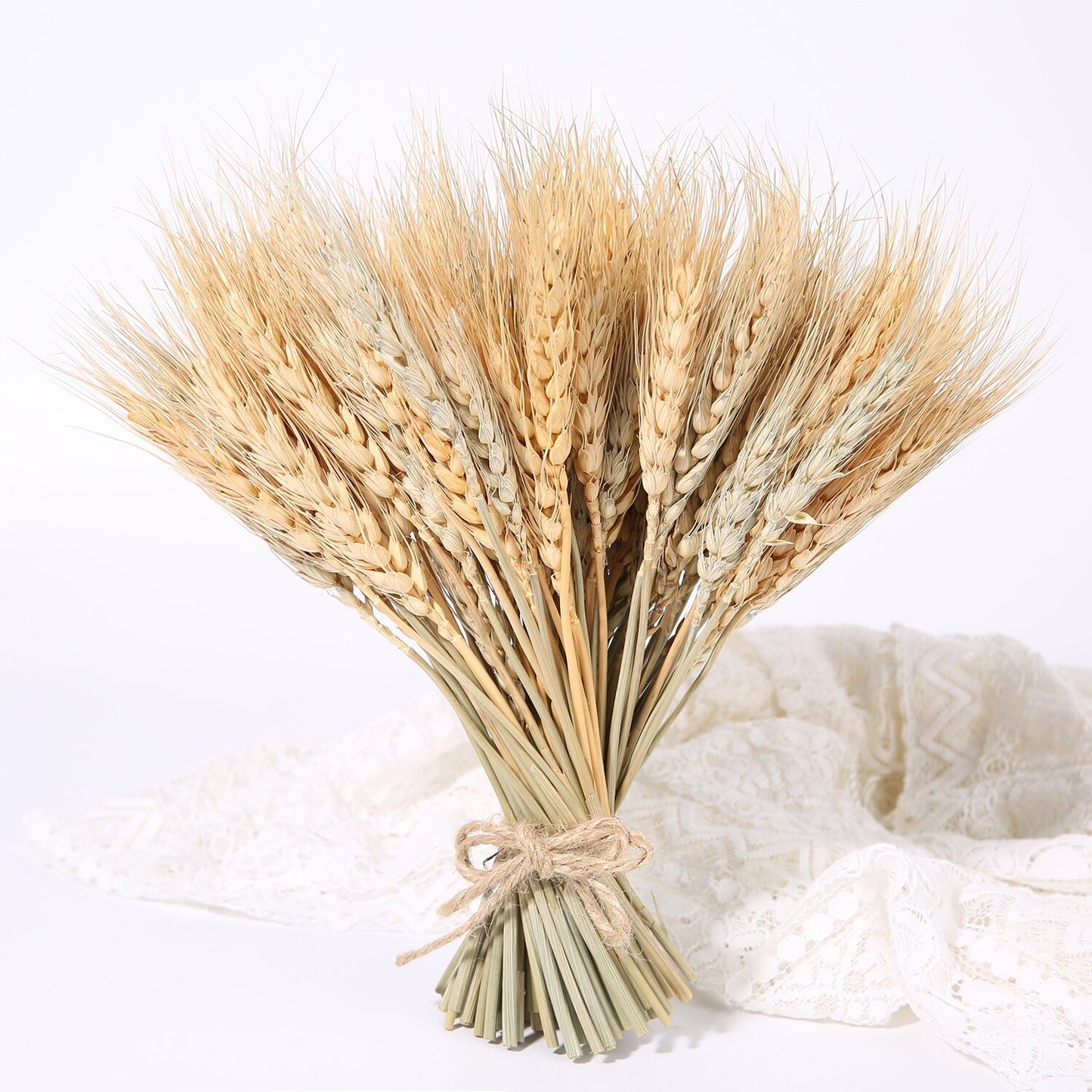Bulrush Natural Dried Small Pampas Grass Phragmites Real Wheat Artificial Plants Wedding Flower Bunch For Home Decor Fake Flower