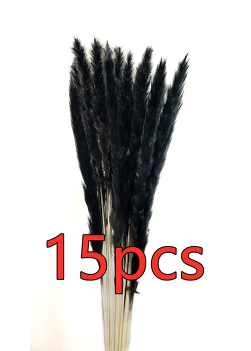 15Pcs Dried Small Pampas Grass Flowers Pantas Artificiales Para Decoracion Real Plants Home Decor Wedding Decoration