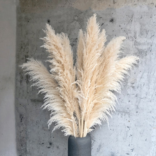 1-1.1m Large Pampas Grass Fluffy Natural Dryness Wedding Bouquet Tall Dried Flower Ceremony Modern Home Garden Decoration Reed
