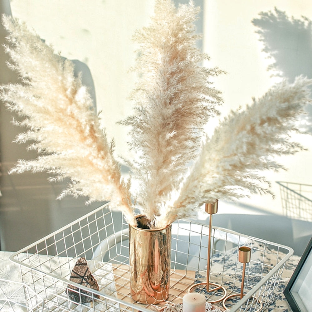 1-1.1m Large Pampas Grass Fluffy Natural Dryness Wedding Bouquet Tall Dried Flower Ceremony Modern Home Garden Decoration Reed