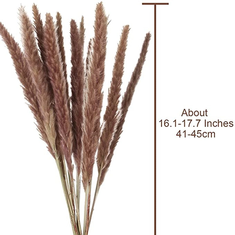 Dekoration 15Pcs Free Shipping Dried Pampas Grass Decor Wedding Flower Bunch Natural Plants for Home Christmas Decorations