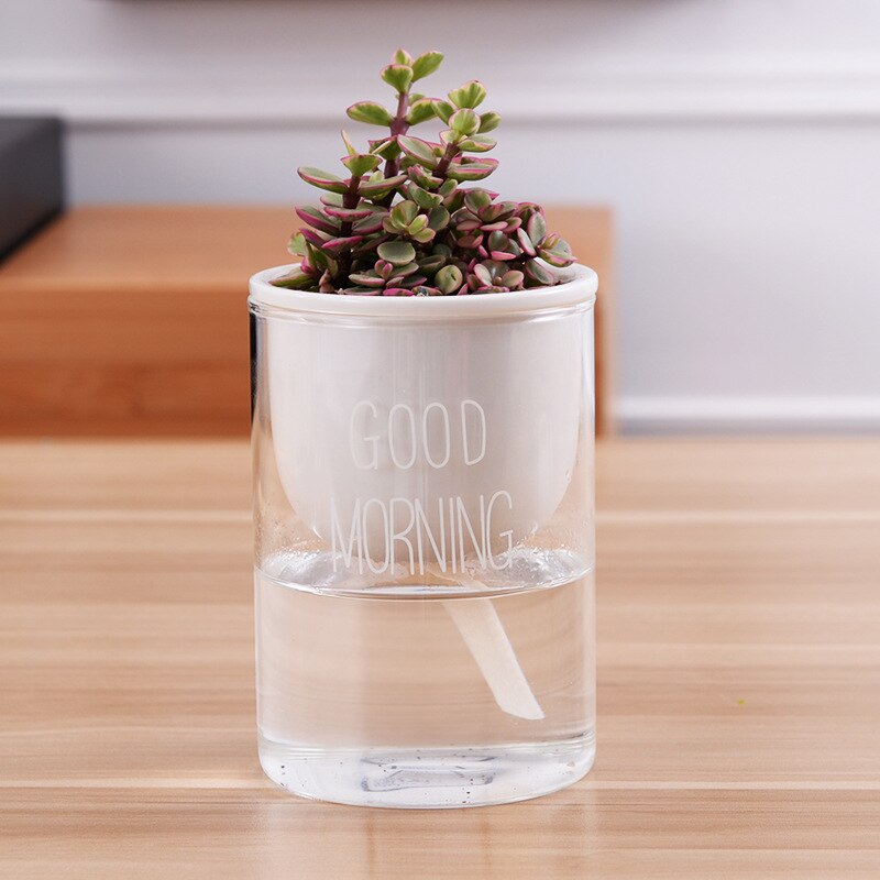 1pc Automatic Watering Planter Pot Ceramic Flowerpot with Glass Water Container for Green Plants Succulent Plant Cactus