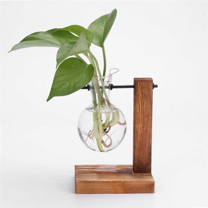 Glass and Wood Vase Planter Terrarium Table Desktop Hydroponics Plant Bonsai Flower Pot Hanging Pots with Wooden Tray Home Decor