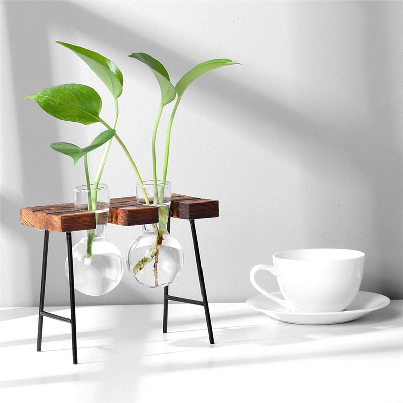 Glass and Wood Vase Planter Terrarium Table Desktop Hydroponics Plant Bonsai Flower Pot Hanging Pots with Wooden Tray Home Decor