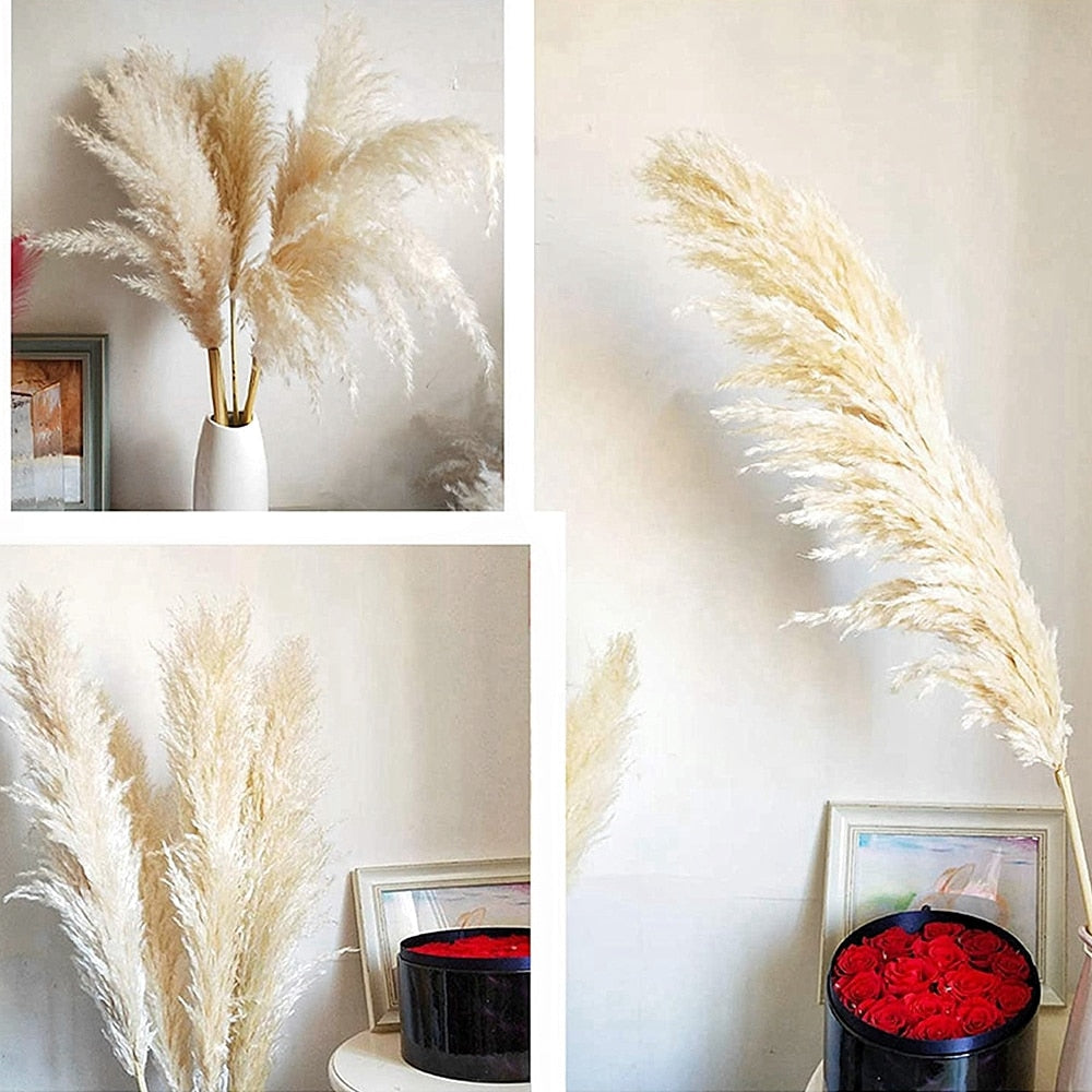 80-140cm Pampas Grass Extra Large Natural White Grey Dried Flower Bouquet Fluffy for Boho Vintage Home Wedding Flower Decoration