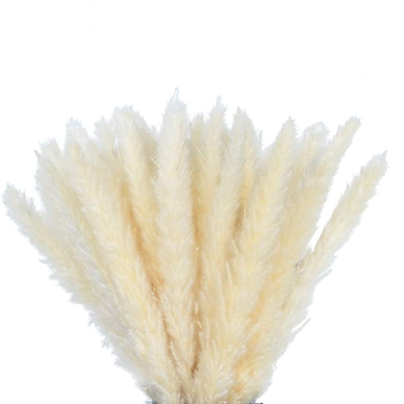 15Pcs Pampas Grass 18Tall Dried Pompous Grass Pompass Branches for Vase Flower Arrangement Wedding Kitchen Home Decor Whit