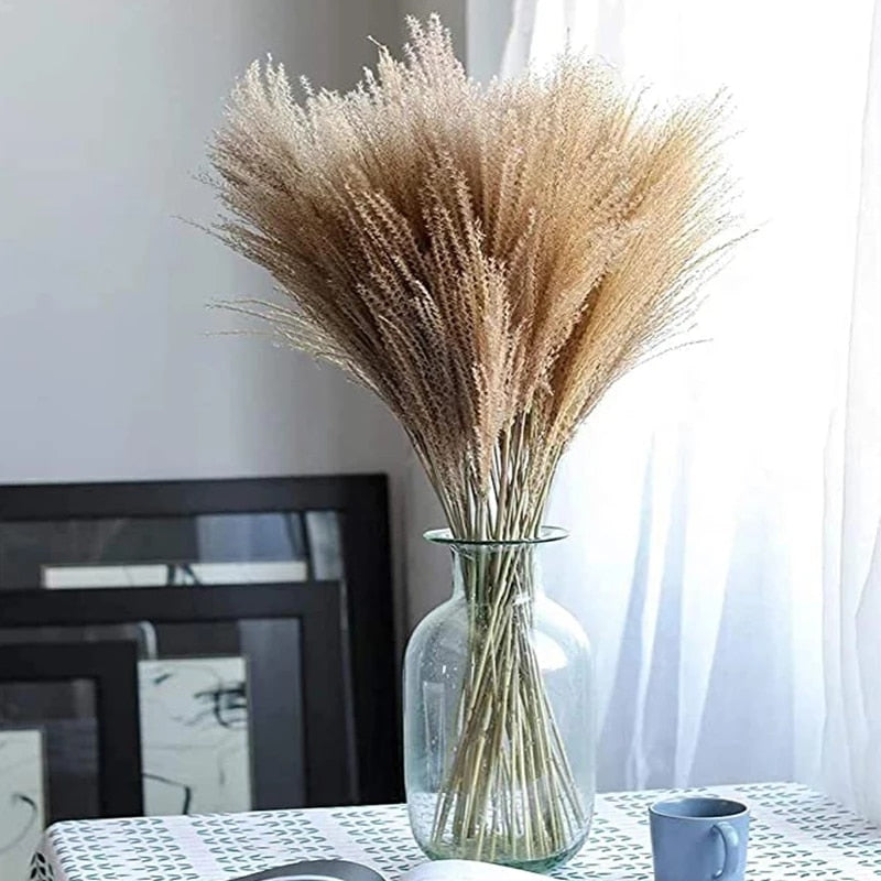 45cm Reed Pampas Wheat Ears Rabbit Tail Grass Natural Dried Flowers Bouquet Wedding Decoration Hay for Party Bohemian Home