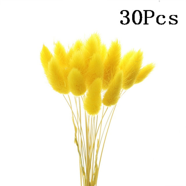 Rabbit Tail Natural Dried Flower Pampas Grass Bunch Real Bouquet Flower for Photo Props Flores Home Wedding Decoration DIY 2022