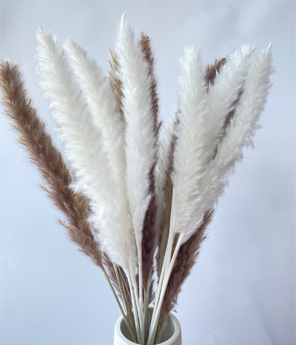 15Pcs Dried Small Pampas Grass Flowers Pantas Artificiales Para Decoracion Real Plants Home Decor Wedding Decoration