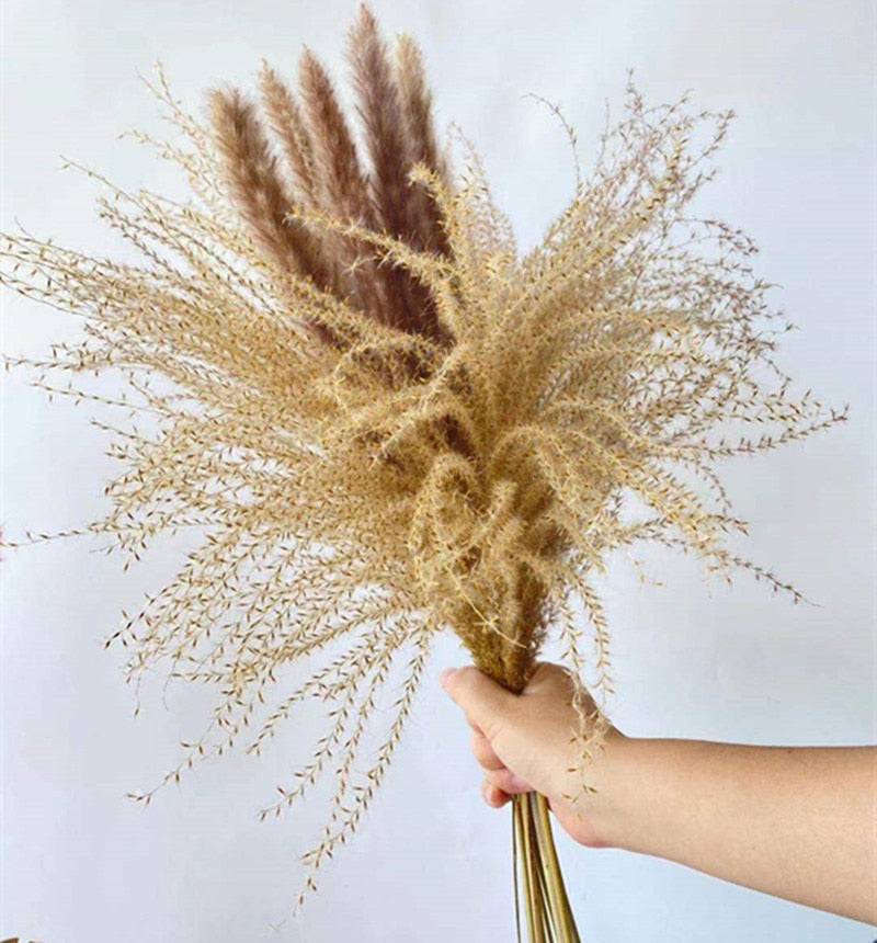 15Pcs Dried Small Pampas Grass Flowers Pantas Artificiales Para Decoracion Real Plants Home Decor Wedding Decoration