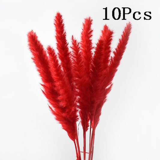 Rabbit Tail Natural Dried Flower Pampas Grass Bunch Real Bouquet Flower for Photo Props Flores Home Wedding Decoration DIY 2022