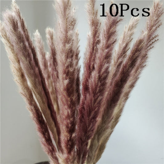 45cm Reed Pampas Wheat Ears Rabbit Tail Grass Natural Dried Flowers Bouquet Wedding Decoration Hay for Party Bohemian Home