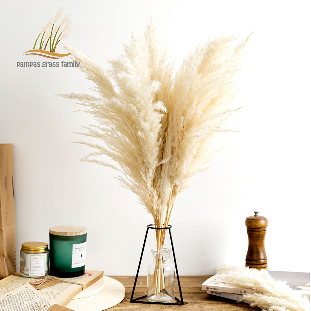 Pampas Grass Decor White Color Fluffy Natural Dried Flowers Bleached Bouquet Boho Vintage Style for Wedding Home Christmas Decor