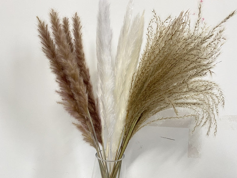 15Pcs Dried Small Pampas Grass Flowers Pantas Artificiales Para Decoracion Real Plants Home Decor Wedding Decoration