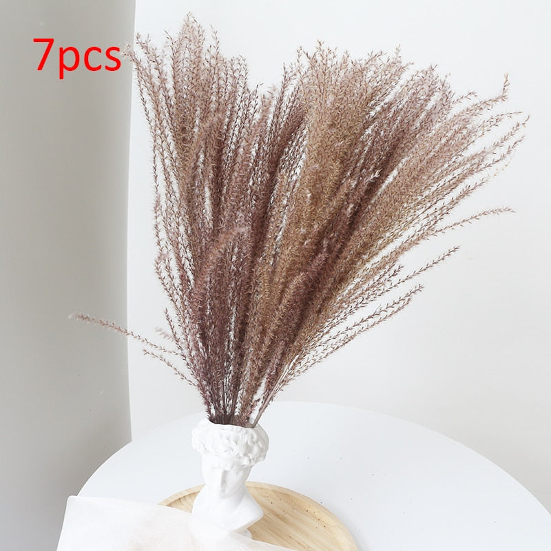 Pampas Grass Phragmites Reed Dried Natural Flowers Bouquet Arrangement Wedding Party Decor Christmas Decorations For Home Table