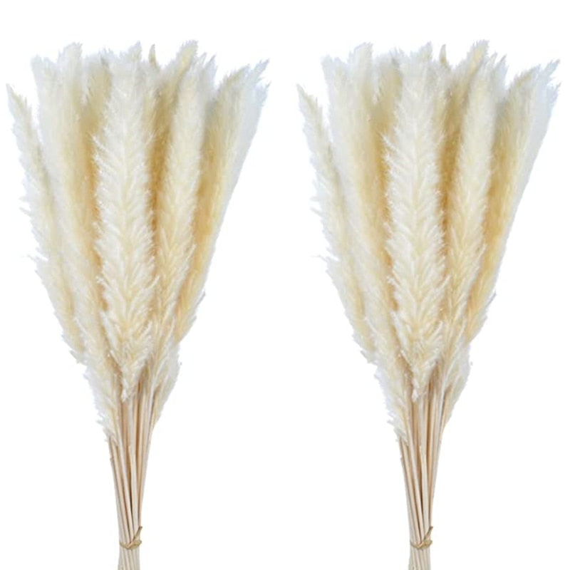 15Pcs Pampas Grass 18Tall Dried Pompous Grass Pompass Branches for Vase Flower Arrangement Wedding Kitchen Home Decor Whit