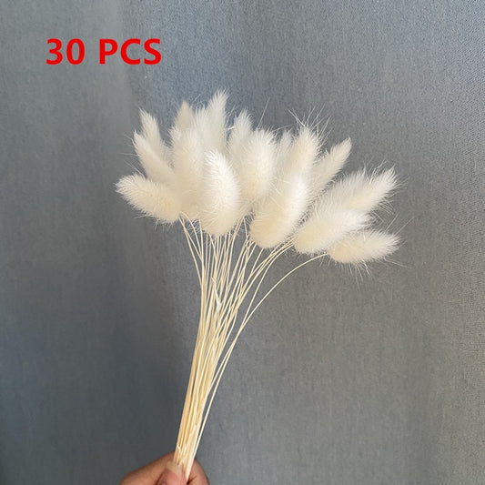 15Pcs Dried Small Pampas Grass Flowers Pantas Artificiales Para Decoracion Real Plants Home Decor Wedding Decoration