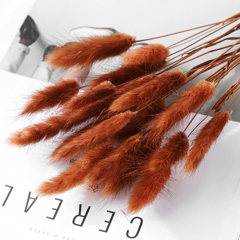 15Pcs Pampas Grass 18Tall Dried Pompous Grass Pompass Branches for Vase Flower Arrangement Wedding Kitchen Home Decor Whit