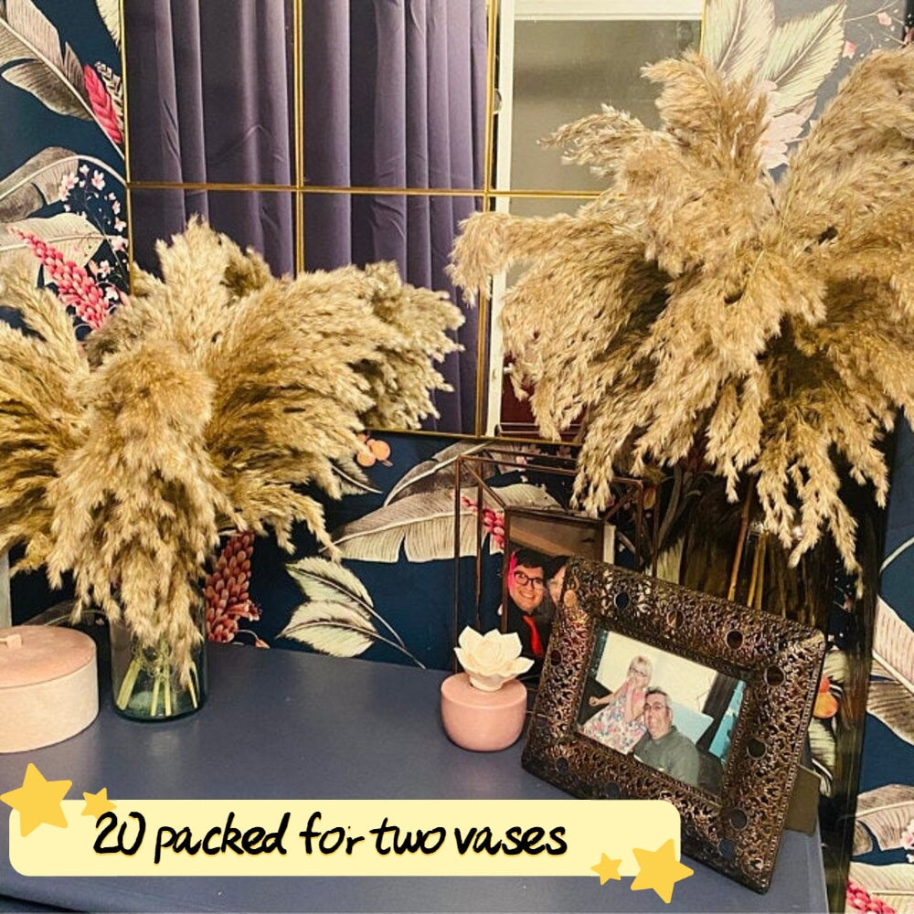 20 Stems Pompous Pampas-Grass Dried Pampass Plants Fluffy Pompas Grasses Small Pompus Short Boho Decor Total Length 21inch/55cm