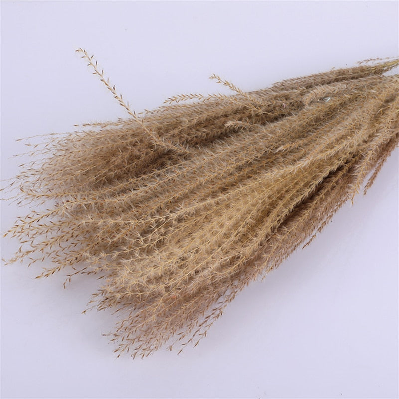 15Pcs Pampas Grass 18Tall Dried Pompous Grass Pompass Branches for Vase Flower Arrangement Wedding Kitchen Home Decor Whit