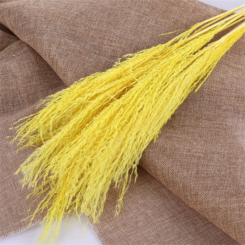 15Pcs Pampas Grass 18Tall Dried Pompous Grass Pompass Branches for Vase Flower Arrangement Wedding Kitchen Home Decor Whit