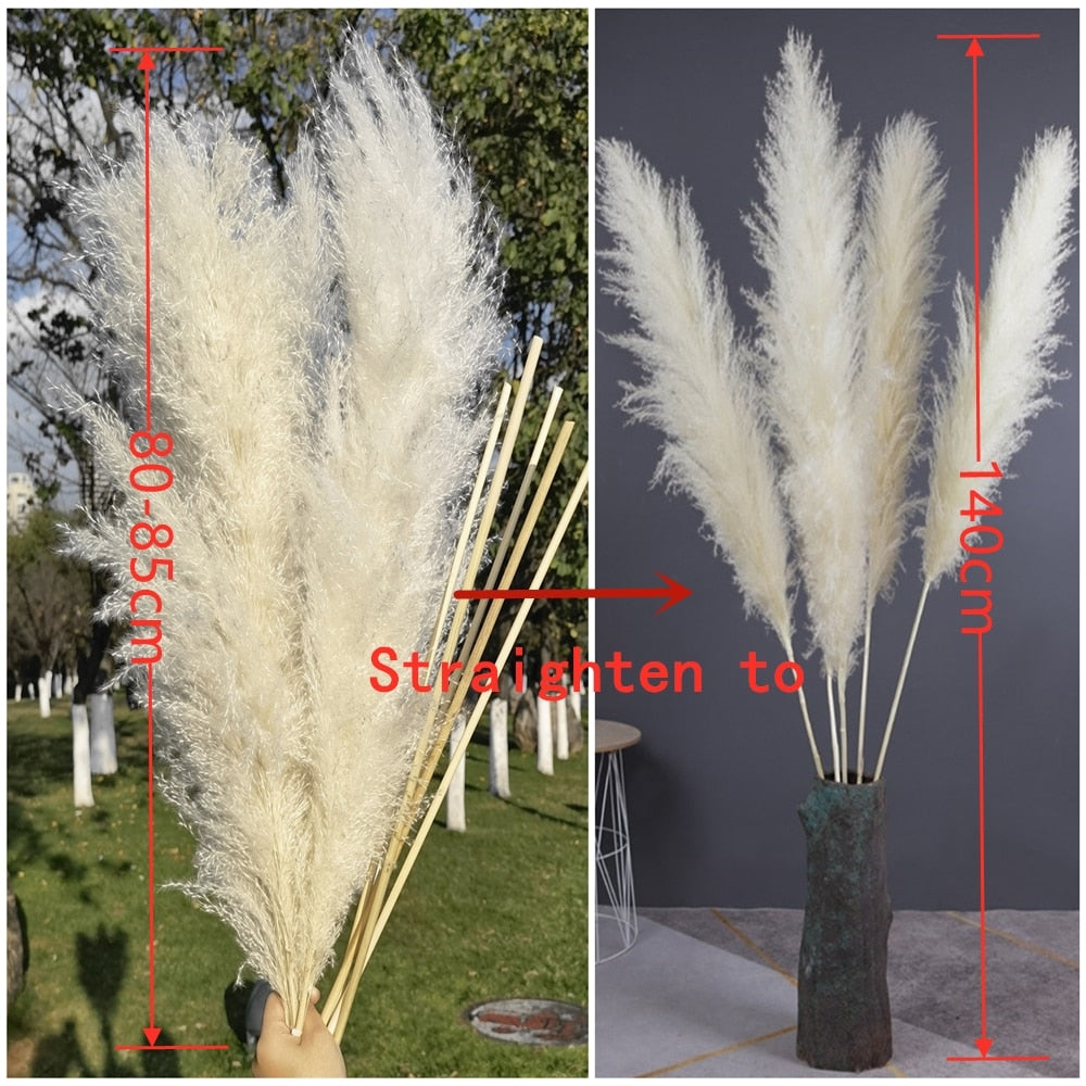 80-140cm Pampas Grass Extra Large Natural White Grey Dried Flower Bouquet Fluffy for Boho Vintage Home Wedding Flower Decoration