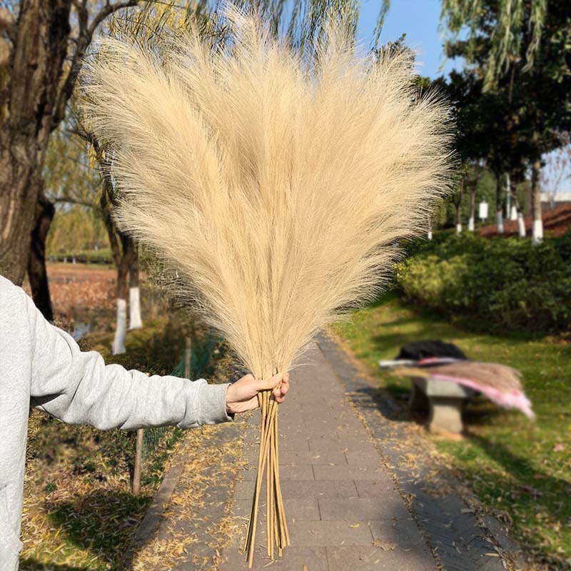 1Pcs Artificial Pampas Grass Home Room Decor Simulation Reed Flower Bouquet DIY Wedding Decoration Birthday Party Supplies
