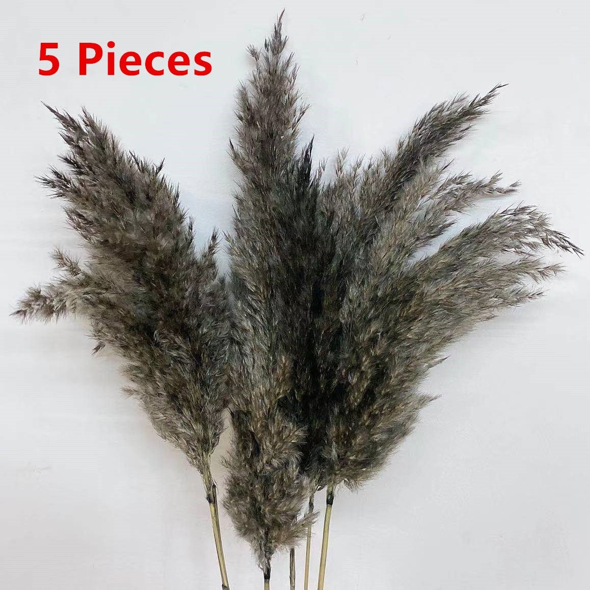 15Pcs Dried Small Pampas Grass Flowers Pantas Artificiales Para Decoracion Real Plants Home Decor Wedding Decoration