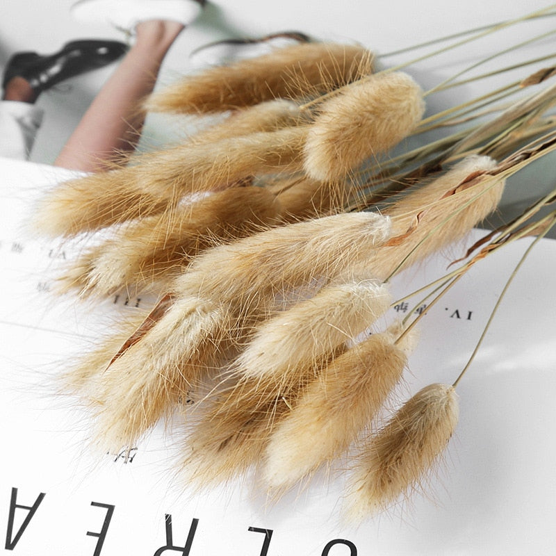 15Pcs Pampas Grass 18Tall Dried Pompous Grass Pompass Branches for Vase Flower Arrangement Wedding Kitchen Home Decor Whit